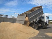  Зерновозы для перевозки зерна Украина